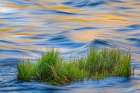 Sunset reflection on Merced River-Yosemite National Park-California Art Print